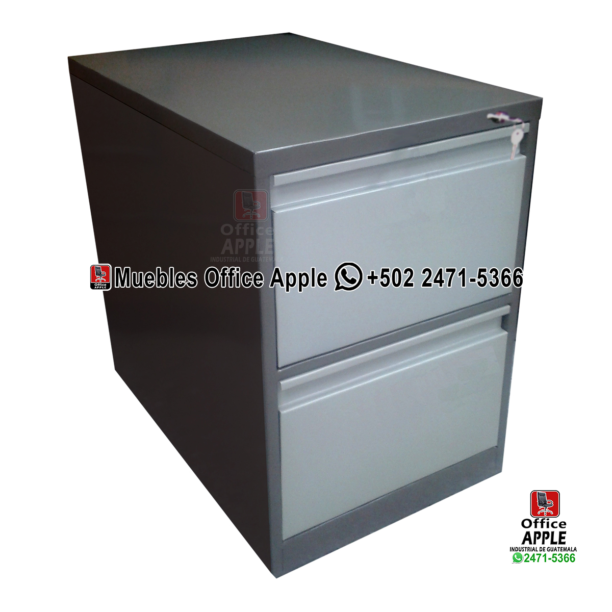 ARCHIVO 2G MX copia ARCHIVO CLASICO DE 2 GAVETAS