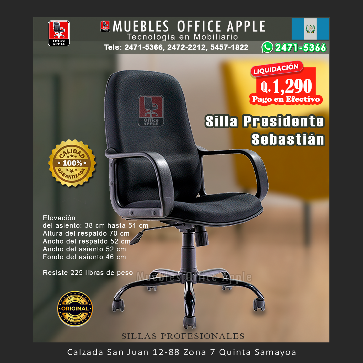 21 SILLA PRESIDENTE SEBASTIAN SILLA PRESIDENTE SEBASTIAN