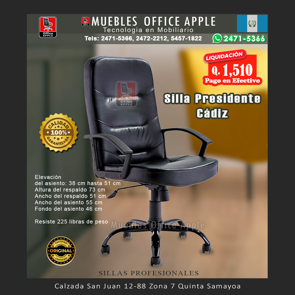28 SILLA PRESIDENTE CADIZ SILLA PRESIDENTE CADIZ