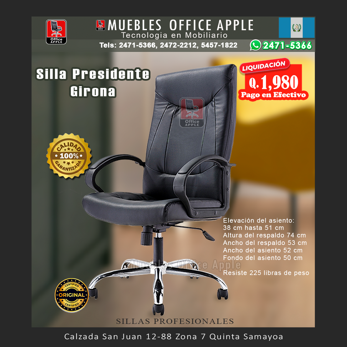 SILLA PRESIDENTE GIRONA
