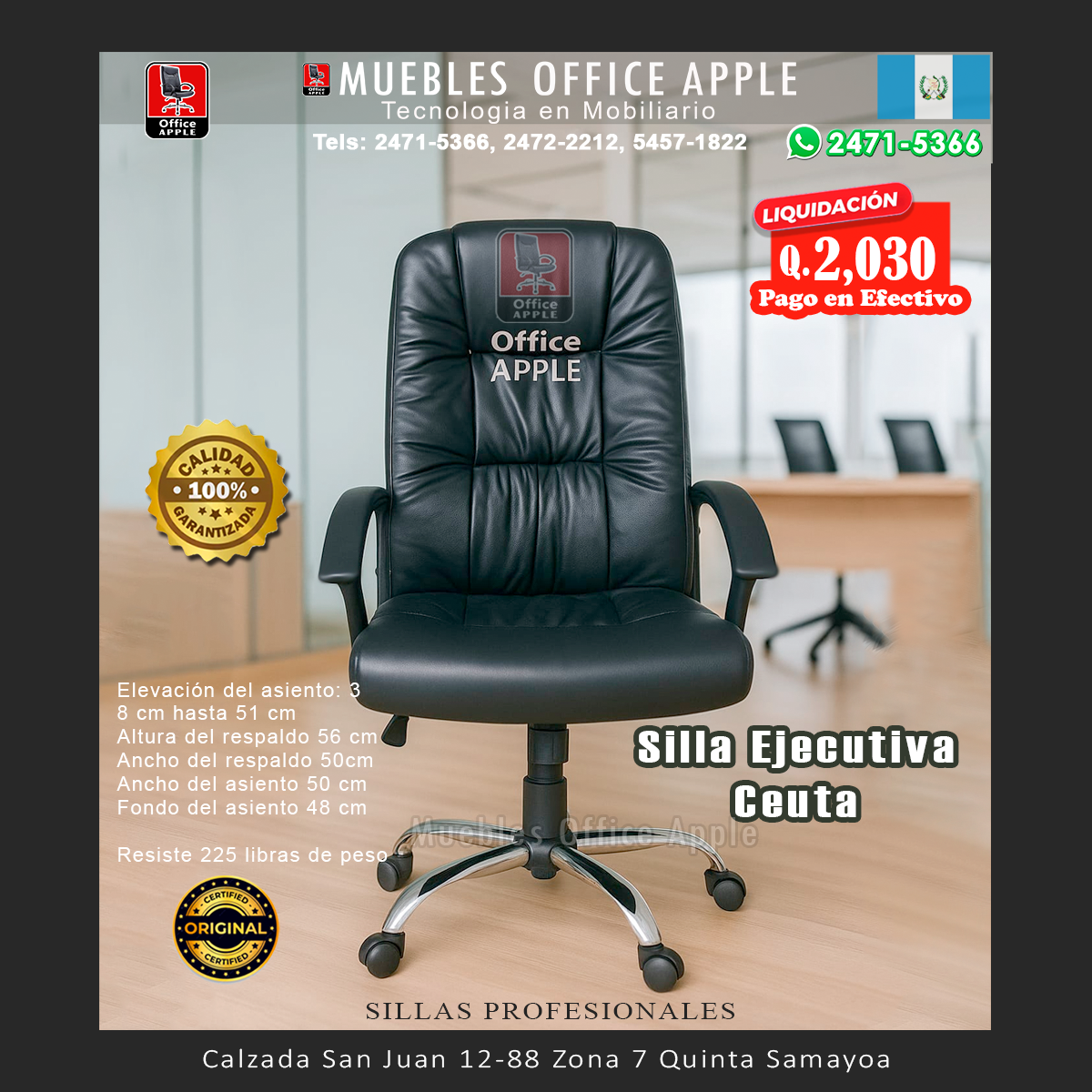 SILLA EJECUTIVA CEUTA